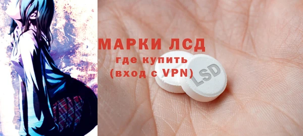 ECSTASY Гусь-Хрустальный