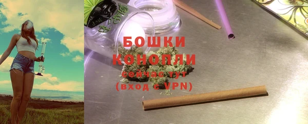 ECSTASY Гусь-Хрустальный