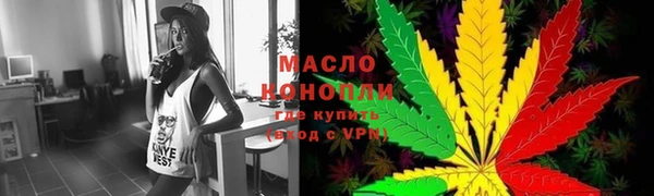 ECSTASY Гусь-Хрустальный