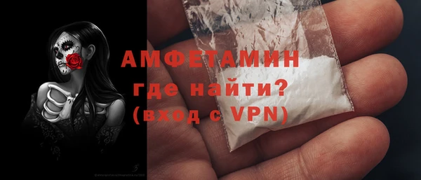 ECSTASY Гусь-Хрустальный