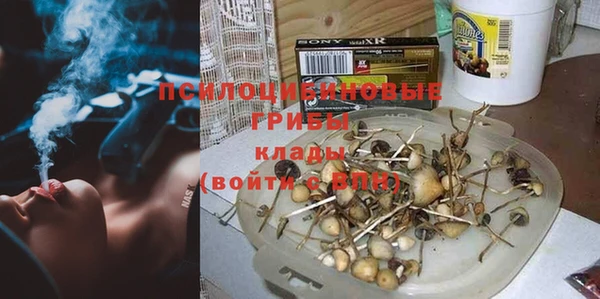 трава Гусев
