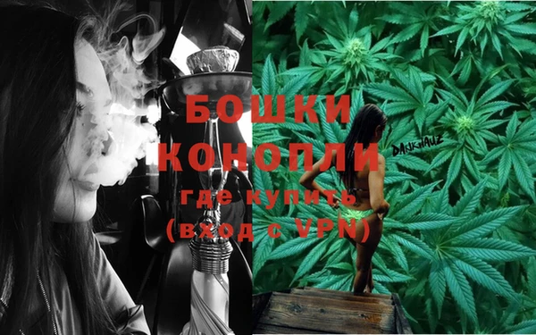 ECSTASY Гусь-Хрустальный