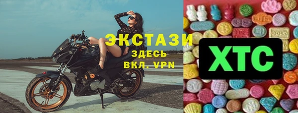 ECSTASY Гусь-Хрустальный