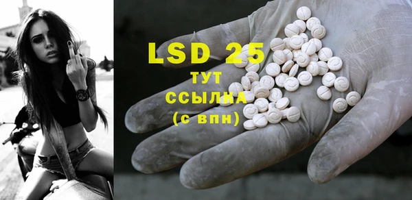 ECSTASY Гусь-Хрустальный