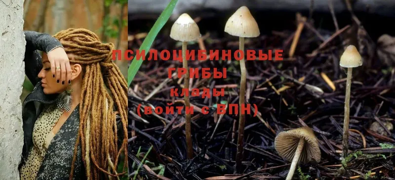 Псилоцибиновые грибы MAGIC MUSHROOMS  Дудинка 